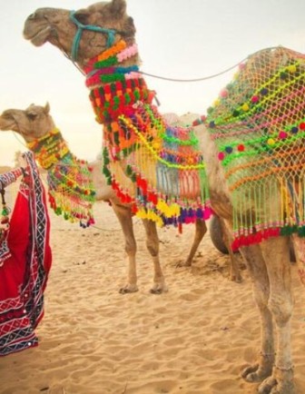 Rajasthan